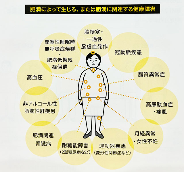 肥満によって生じる、または肥満に関連する健康障害